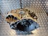 Manual 6 speed gearbox 8G9R7002PF