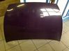 Motorhaube 1030670