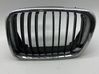 Front bumper upper radiator grill 