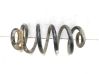 Rear coil spring 