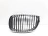 Front grill 70771299