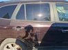 Rear door 