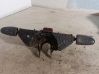 Wiper turn signal indicator stalk/switch 7M0953503P