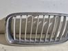 Front grill 7255411