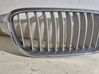 Front grill 7255412
