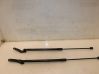 Tailgate/trunk strut/damper 81A827552B