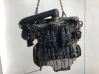 Motor 55557871