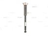 Rear shock absorber/damper 