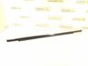 Rear door glass trim molding 