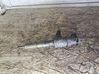 Fuel injector 786280