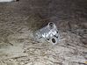 Crankshaft position sensor 9637466980