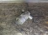 Idle control valve (regulator) 1433627