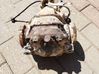 Rear differential 
