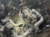 Engine AFN