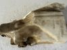 Windshield washer fluid reservoir/tank 55076410