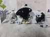 Air conditioning (A/C) switch 3668