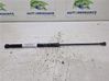 Tailgate/trunk strut/damper 