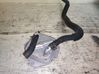 Engine oil radiator 3227