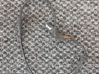 ABS rear brake sensor 8200735315