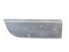 Listwa drzwi przednich 808210166R
