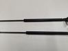Tailgate/trunk strut/damper 6895002041