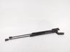 Tailgate/trunk strut/damper 81770F1000