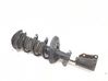 Amortiguador delantero con muelle espiral 543029179R