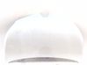 Engine bonnet/hood 651004529R