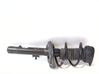 Front shock absorber with coil spring 543020508R
