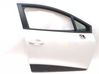 Puerta delantera 801008302R