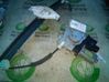 Front door manual window regulator 95969080