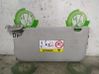 Sun visor 1702309