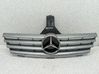 Atrapa chłodnicy / Grill A2038801083