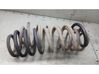 Rear coil spring 