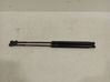 Tailgate/trunk strut/damper 51794232