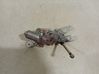 Rear window wiper motor 