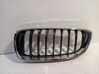 Front grill 7294813