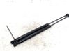 Tailgate/trunk strut/damper 