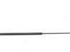 Tailgate/trunk strut/damper 9483570
