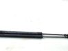 Tailgate/trunk strut/damper 904500004R