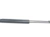Tailgate/trunk strut/damper 
