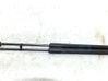Tailgate/trunk strut/damper 315005777