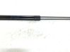 Tailgate/trunk strut/damper 39089133