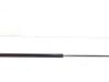 Tailgate/trunk strut/damper 31298282