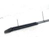 Tailgate/trunk strut/damper 
