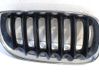 Kühlergrill 340291002
