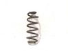 Muelle espiral trasero 