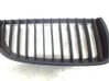 Kühlergrill 