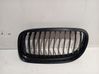 Front grill 7201967