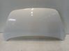 Motorhaube 